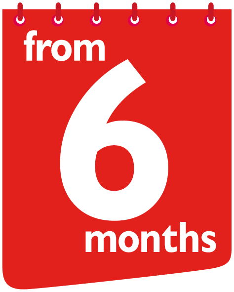 6 months